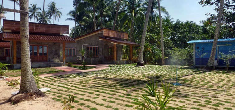 Growin grass in front of the Coconut Garden Deluxe Bungalows